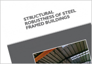 Structural robustness of steel framed buildings (P391)